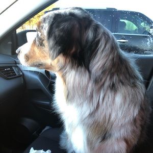 Meet your Posher, Francisco